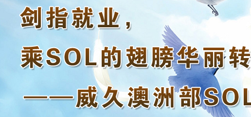 ָ͘I(y)SOLĳAD(zhun)|ð޲SOLΌI(y)Ԕ