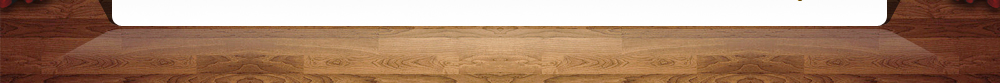 2009威久德國(guó)留學(xué)offer展示