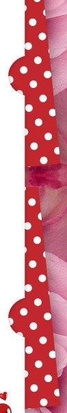 1·W(xu)Ո(qng)M(jn)30쵹Ӌ(j)r(sh)