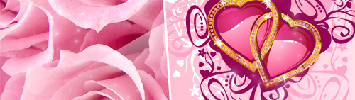 \(chng)_֮ôW(xu)H(hu)|20111côԺУ
