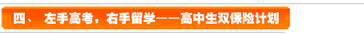四、左手高考，右手留學(xué)--高中生雙保險(xiǎn)計(jì)劃