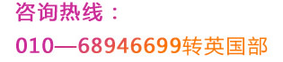 ԃᾀ010D68946699D(zhun)Ӣ
